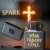 Spark (feat. O.N.E., TK Baby & WMB) - Single - DJ Wayne Michael