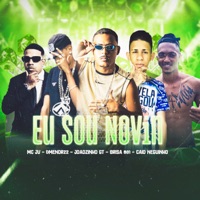 Eu Sou Novin (feat. Caio Neguinho & MC JV) - Single - Joãozinho GT, Brisa081 & Dmenor22