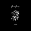 Dear Diary - Single