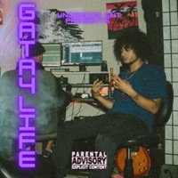 Gata4life - Single - Nephi Larkin