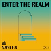 Enter The REALM: Super Flu (DJ Mix) artwork