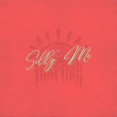 Silly Me - Single
