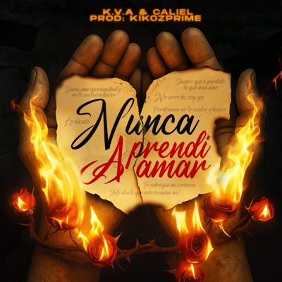 Nunca Aprendí a Amar - Single