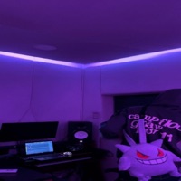 ESTAVA CURTINDO BAILE (Mc Larissa Remix) - Single - DJ MATHEUS ASSIS