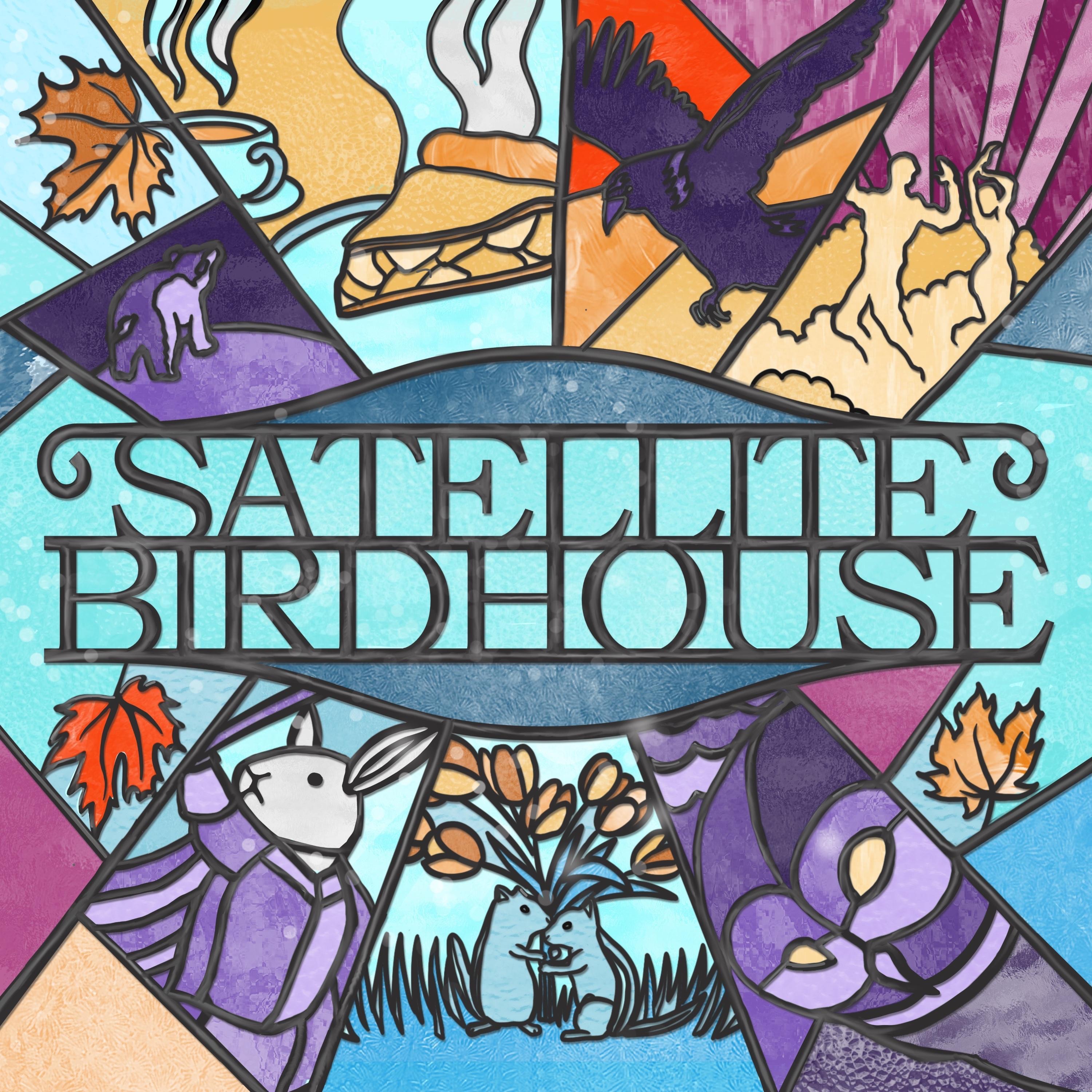 Satellite Birdhouse