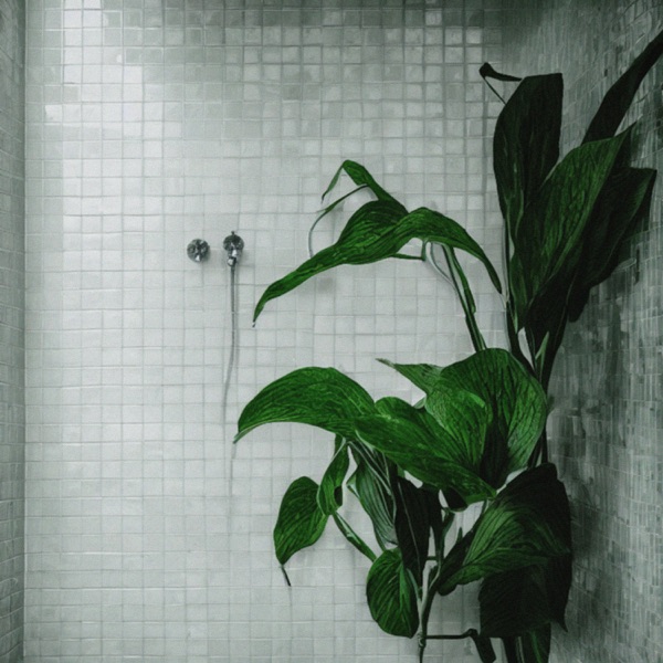 wilt - EP