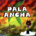 De Regreso Al Penal