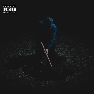 Goodbye - Single