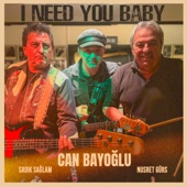 I Need You Baby (feat. Sadık Sağlam & Nusret Gürs) artwork