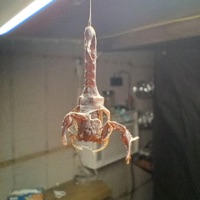 Spit a tec (Hail Mary freestyle) - Single - Ruski 223