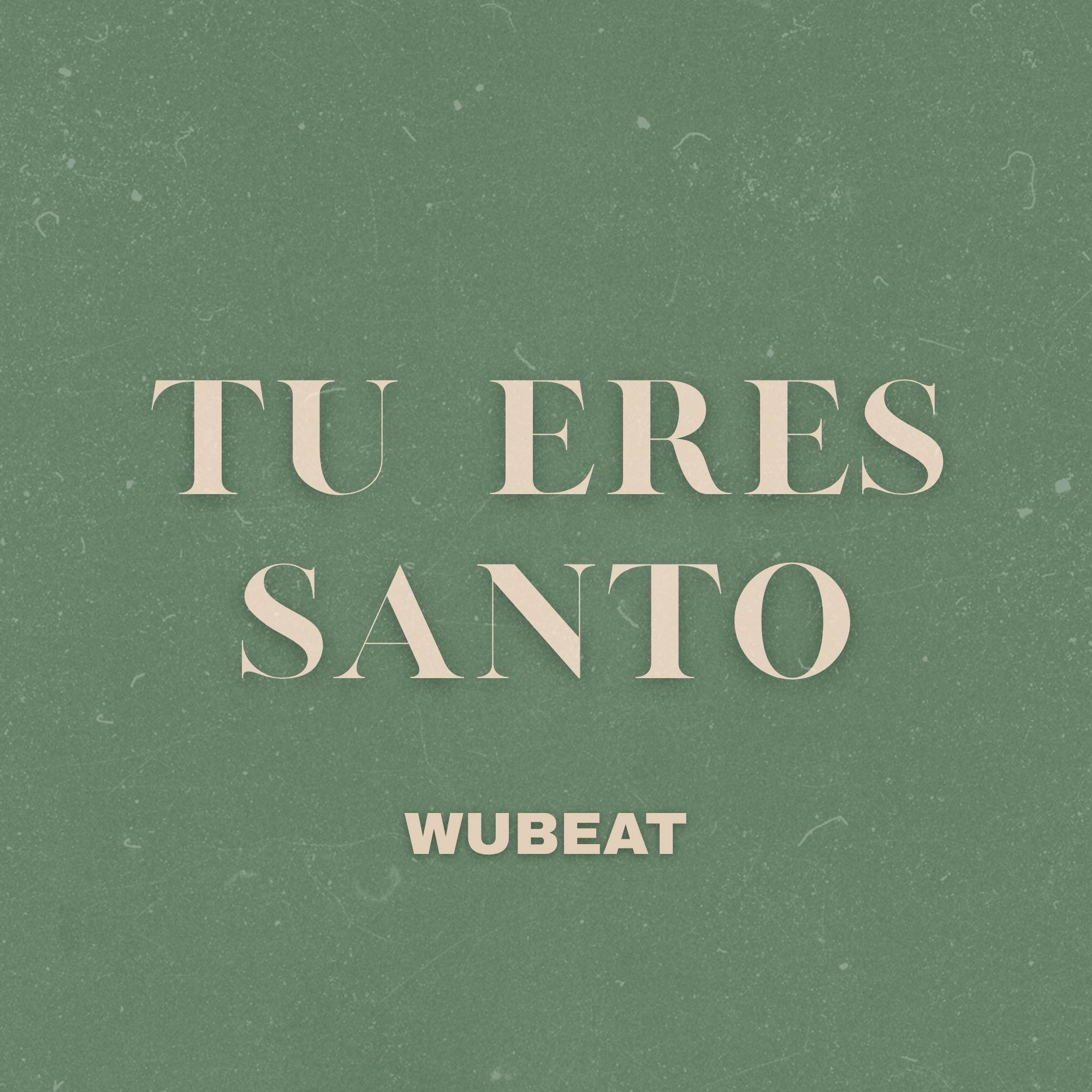 Tu Eres Santo - Single