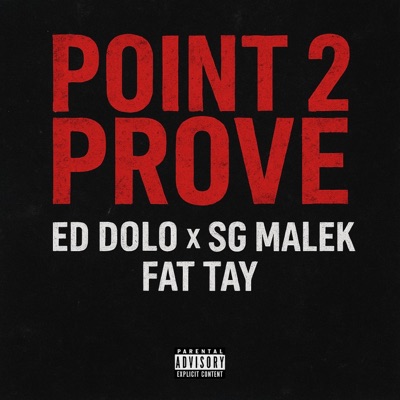 Point to Prove (feat. SG Malek & Fat Tay) - Single