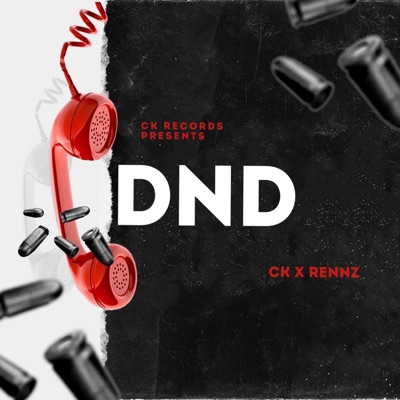 DND (feat. renzz.08) - Single