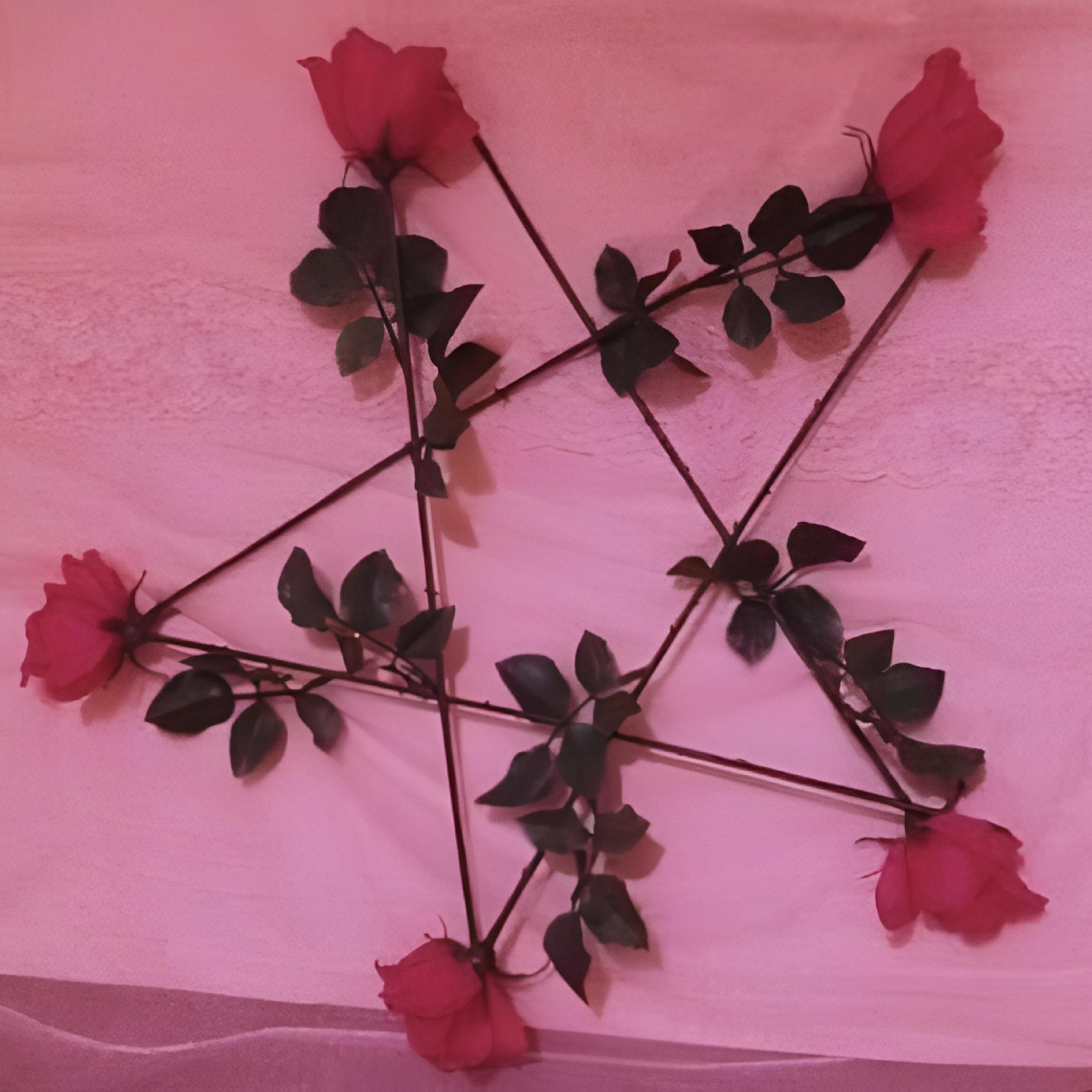 The Damage Is Done - Single