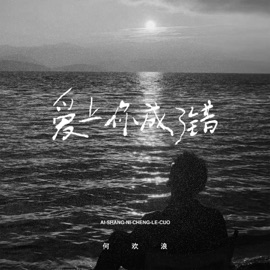 爱上你成了错 何欢浪