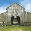 Willie Nelson - Pistol Packin' Mama