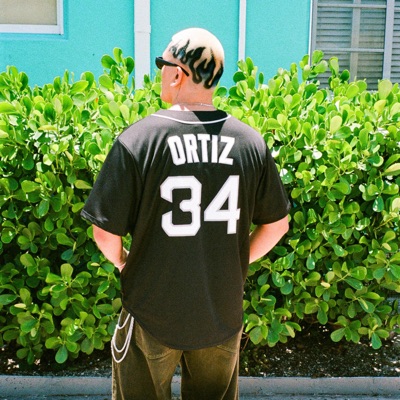 PeNsAnDotE (feat. Dimelo Dante & Ronny Leon) - Single