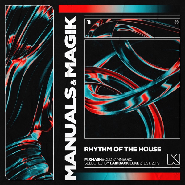Rhythm of the House - Single