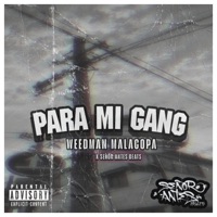 Para Mí Gang (feat. Weedman Malacopa) - Single - Señor Antes Beats