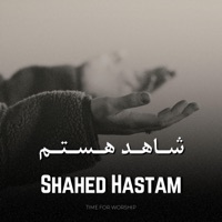 Shahed Hastam (feat. Niloofar) - Single - Elam Music