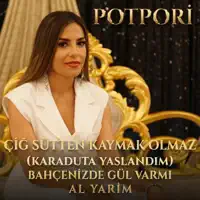 demir — aylin