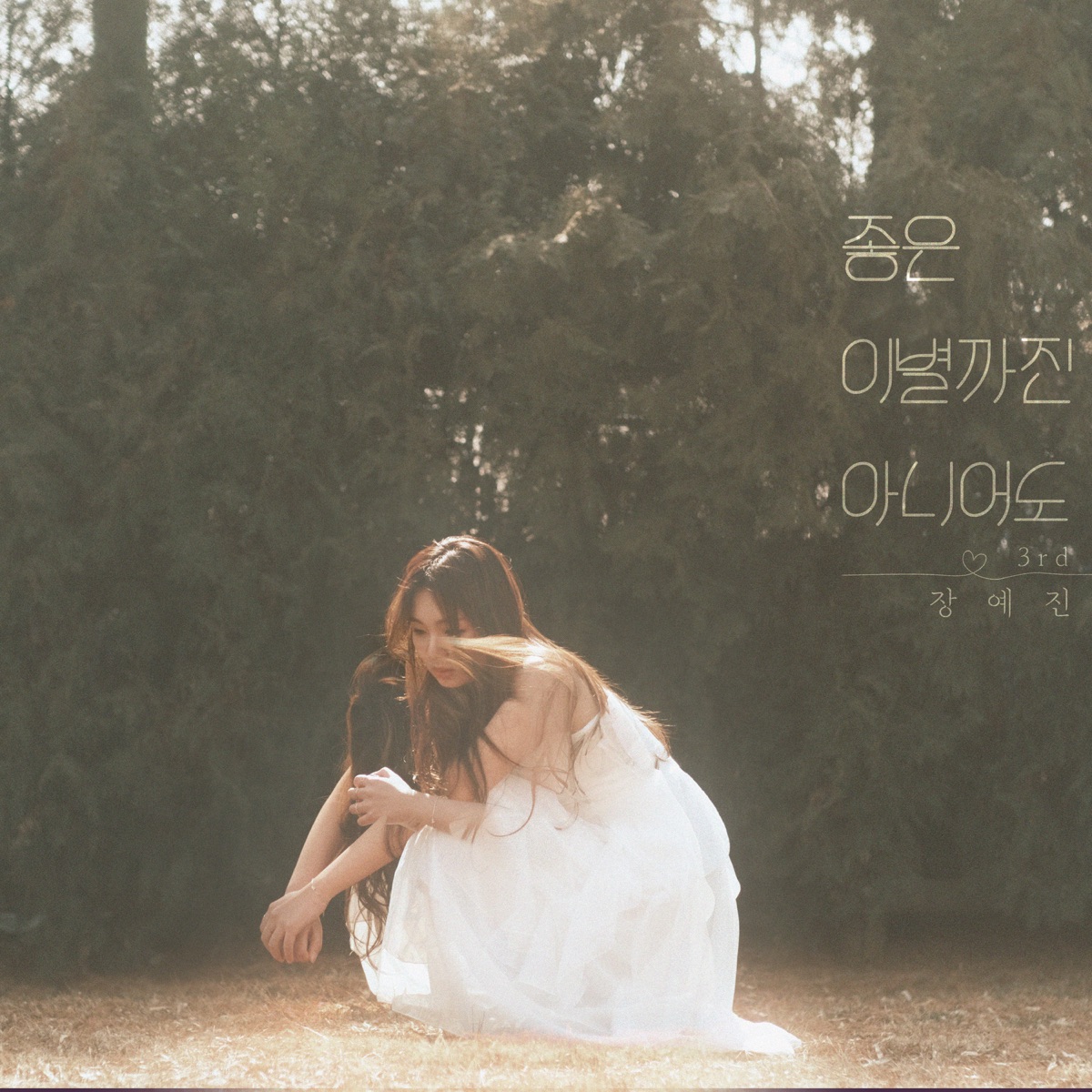 Jang Ye Jin – dear goodbye – Single