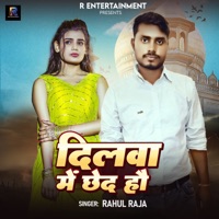 Dilwa Me Chhed Hau - Single - Rahul Raja