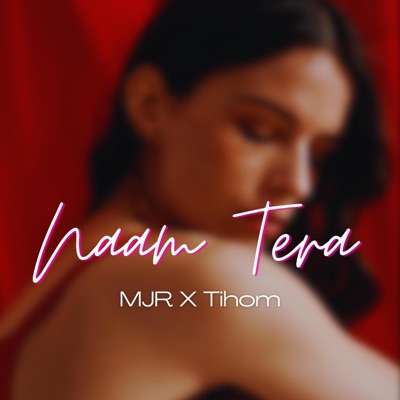 Naam Tera (feat. Tihom) - Single