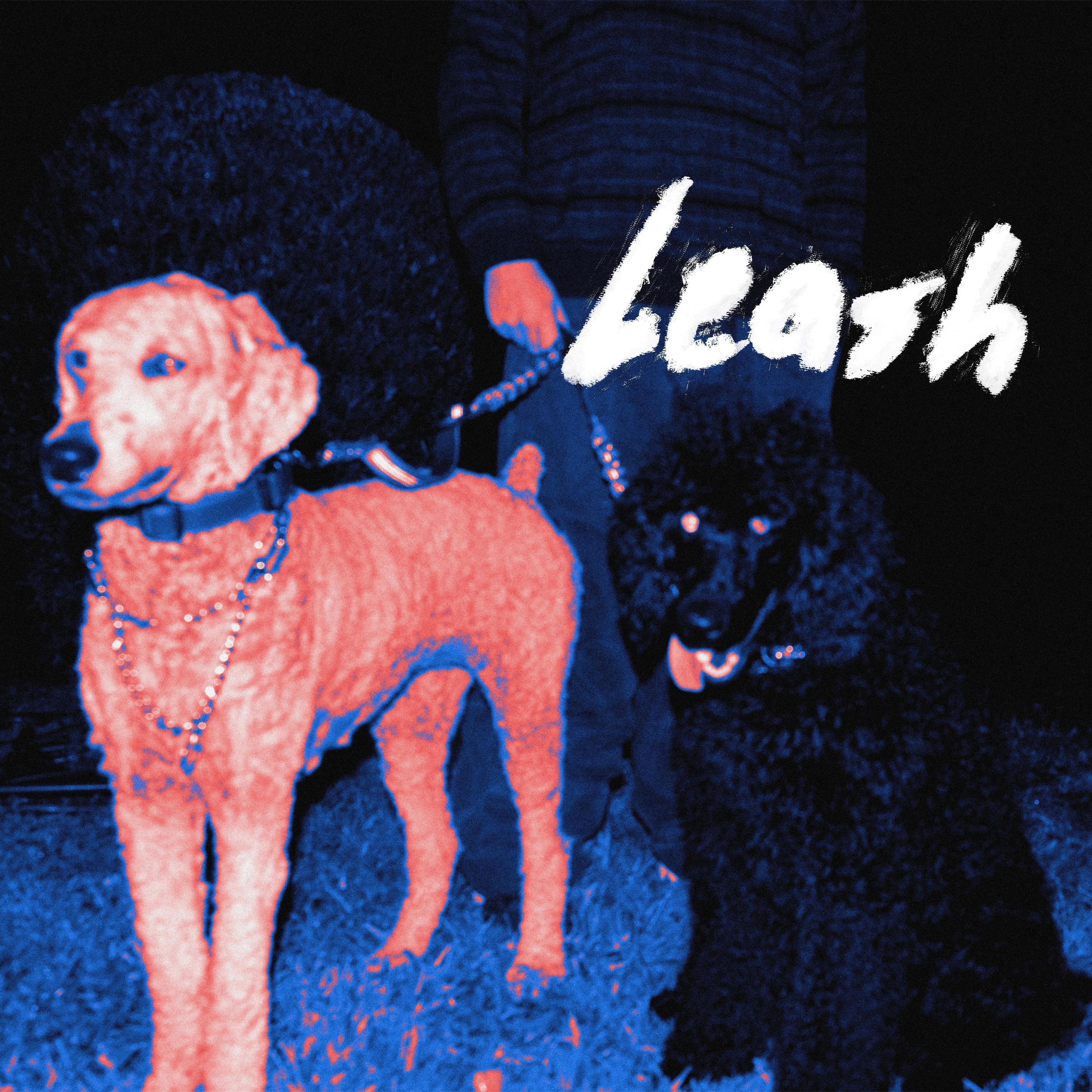 Leash - Single