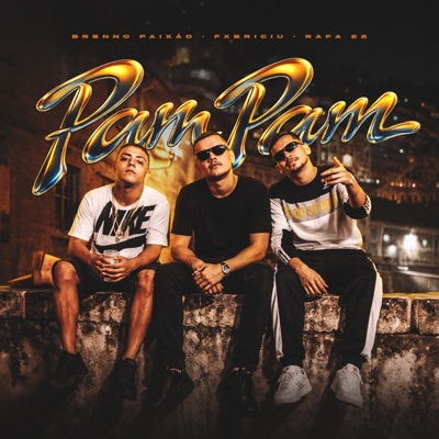 Pam Pam (feat. MC Rafa 22) - Single