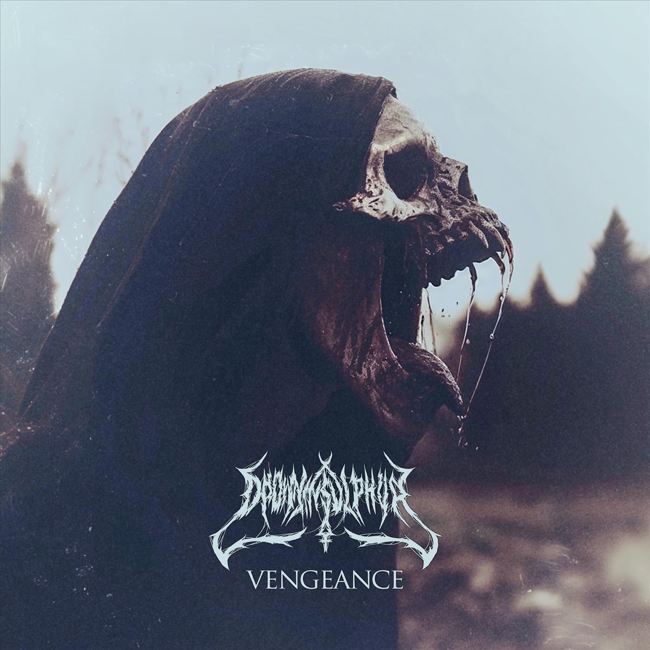 Drown in Sulphur – Vengeance (2025) [iTunes Match M4A]