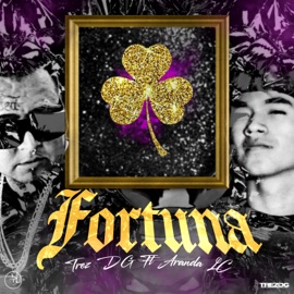 Fortuna (feat. Aranda LC) Trez DG