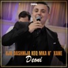 Kjo dashnija keq mka n'xane - Single