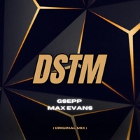 DSTM (Don't Stop The Music) [Radio Edit] - Single - Max Evans & GSEPP