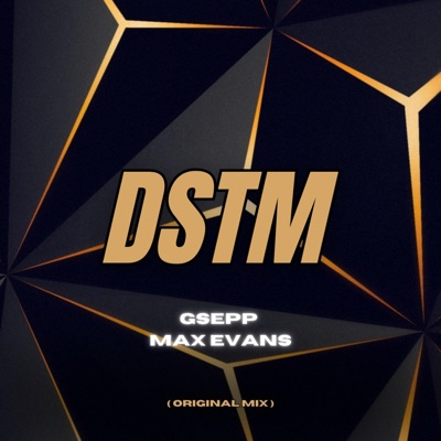 DSTM (Don't Stop The Music) [Radio Edit] - Single