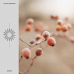 Rowan - Single