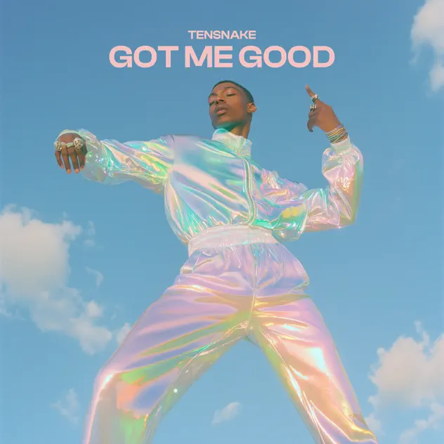 \[ALBUM\] Got Me Good - EP by Tensnake – Apple Music