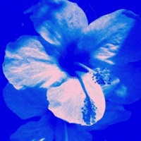 Smoke my life away #MTTM2 - Single - Dom The Artist