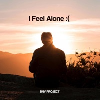 I feel Alone