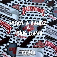 BACKWOOD (feat. YUNG DAVII) - Single - MOOLA BANDZ
