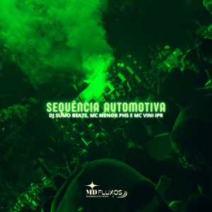 Sequencia Automotiva (feat. mc vini ipr)