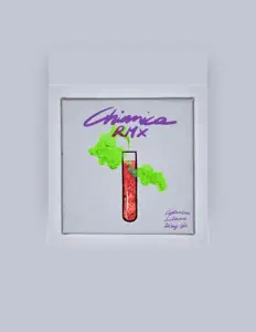 Ouve SDB, vê vídeos de música, lê a biografia, vê as datas da digressão e muito mais!