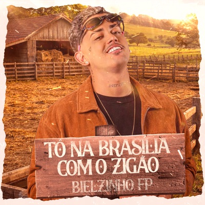 Tô na Brasília Com o Zigão / Parado no Bailão - Single