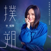 Pu Shuo (Theme Song from "Will Love in Spring") artwork