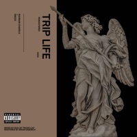 Trip Life (feat. Deezo) - Single - Rahmun Charles