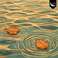 Together - Single - YAGMIN MUSIC & Lunora Records