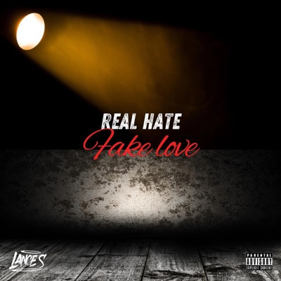 Real Hate Fake Love - Single
