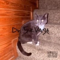 Dr. Savage - cany5n