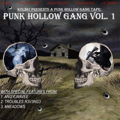 PUNK HOLLOW GANG, Vol. 1