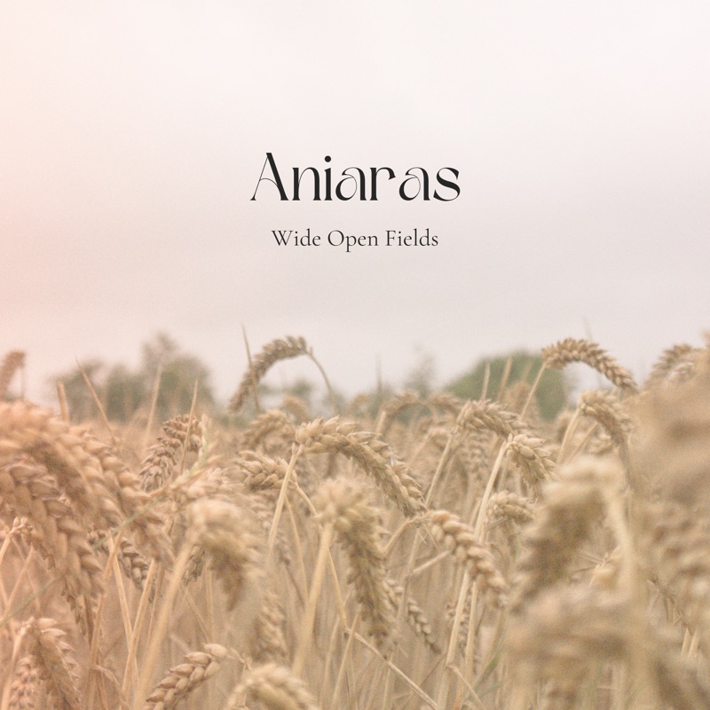 Wide Open Fields - Single